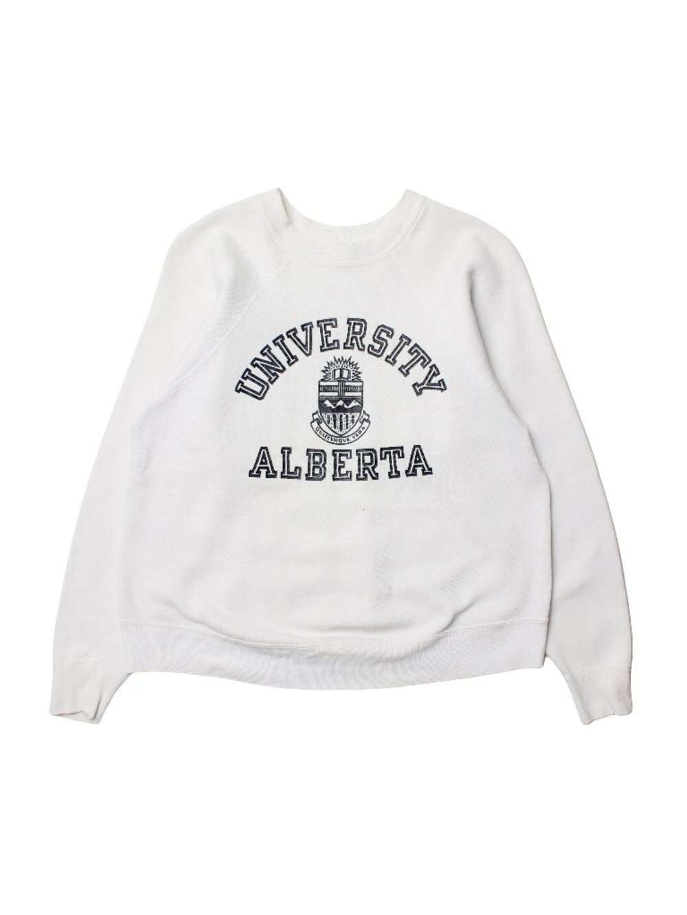 70s Champion University Of Alberta Crewneck M
